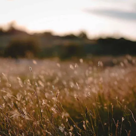 בית נופש In 34975