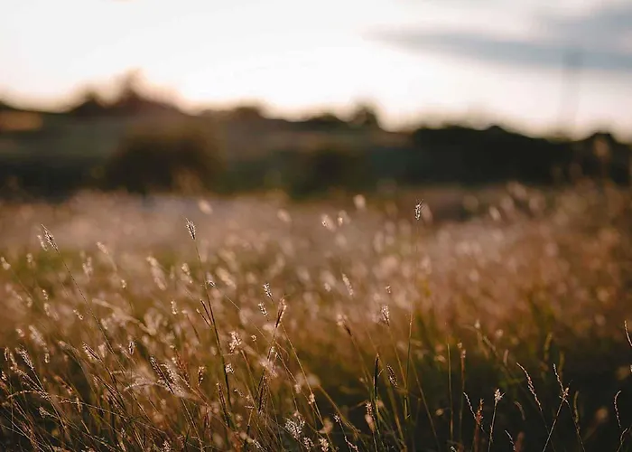 בית נופש In 34975