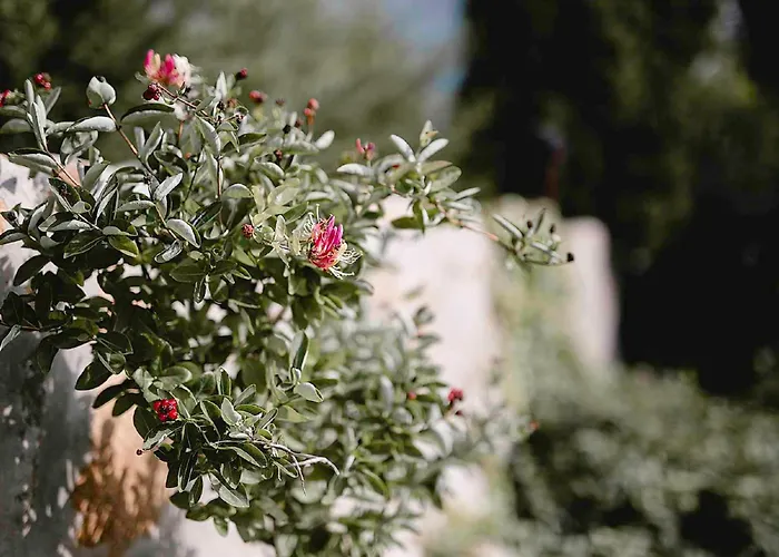 In 34975 בית נופש Sukoró